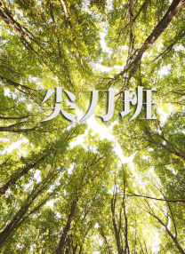 日韩福利视频